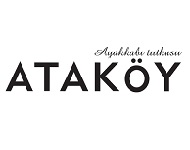 ATAKÖY