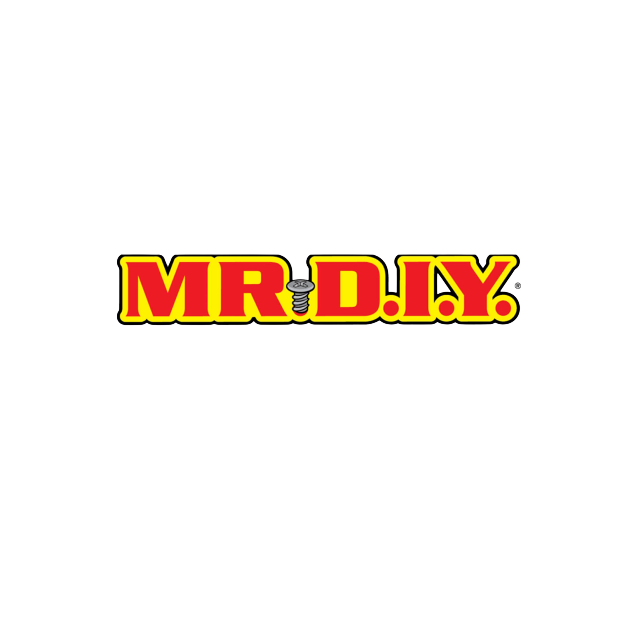 MR. D.I.Y.